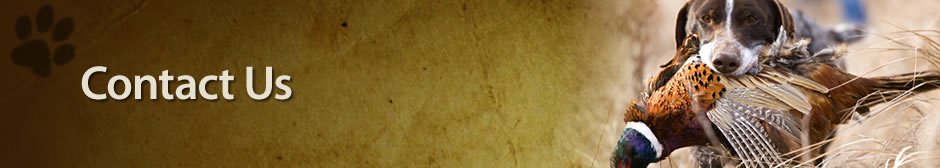 Contact Us