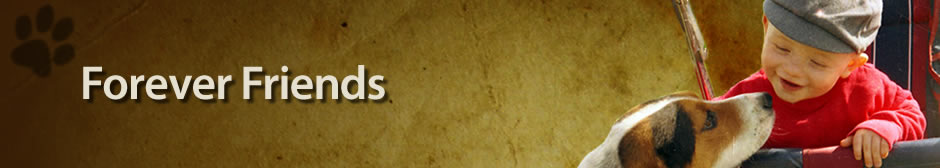 Forever Friends