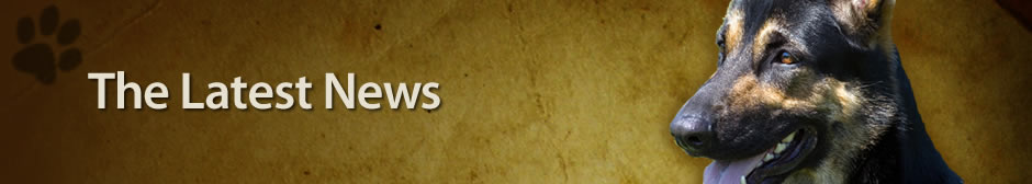 Latest News