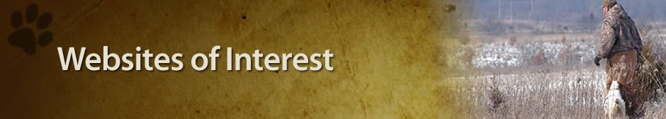 Websites of Interest